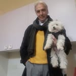 Mario Pedone - @pedone517 - Instagram
