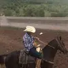 mariopereda7 - @mariopereda7 - TikTok