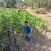 Mario Pinales - Facebook