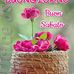 Mario Pirozzi - Facebook