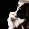 mariopirozzi6 - @mariopirozzi6 - TikTok