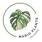 Mario Plant shop - @marioplants66 - Instagram