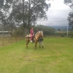 mario placencia - @marioescorpion52 - Instagram