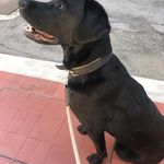 Mario pompa - @mariopompa90 - Instagram