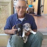 Mario Pucci - @mariopucci19552021 - Instagram