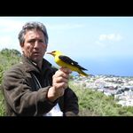 Mario Pucci - @pucci_mario - Instagram