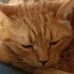 Mario Quaranta - Facebook