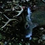 Mario Ranalli - @ranalli630 - Instagram