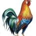 Mario Rayo - Facebook