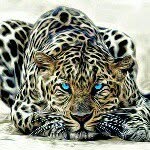Mario Rayo - @mario.rayo.359 - Instagram