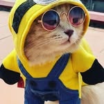 Mario Rayo López Bautista - @mariorayolopez - Instagram