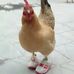 Mario Resto - Facebook