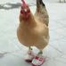 Mario Resto - Facebook