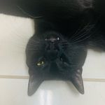 Mario Rice - @butterscotch_pancakes - Instagram