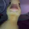 Mario Riddle - @marioriddle535 - TikTok
