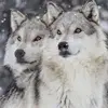 Mario Ritter - @mario.ritter0 - TikTok