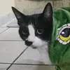 Mario Rodela - @mariorg24_ - TikTok