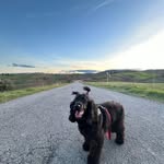 Mario Rosati - @mrros11 - Instagram