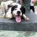 Mario Rosati - Facebook