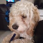 mario j ruffolo - @mariojruffolo - Instagram