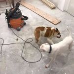 Mario Ruffolo - @marioruffolo1946 - Instagram