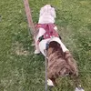 Mario Sanchez - @mario.sanchez292 - TikTok