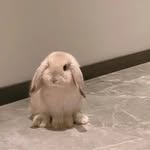 @mariosherman_ - Instagram