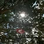 Mario Silverio - @mario.silverio2015 - Instagram