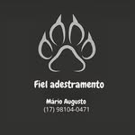 Mário Silvério - @silverio_adestramento - Instagram