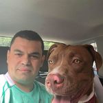 Mario Simoes - @mariosimoes73 - Instagram