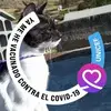 Mario Simon - @mario.simon1 - TikTok