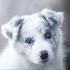 Mario Singh - @mario.singh5 - TikTok