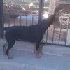 Mario Solorio - @mariosolorio3 - TikTok