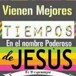 Mario Tavarez - @mario.tavarez - Instagram