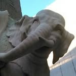 Mario Tedeschi - @tedeschi.mario - Instagram