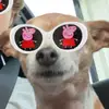 🦆 - @mariotedeschi - TikTok