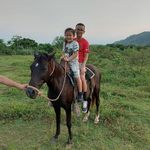 Mario Tejada - @mario.tejada.50 - Instagram