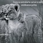 Mario Tejada - Facebook