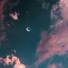 GIANGIAOLINOMARIOTERZO - @giangiaolinomarioterzo - TikTok
