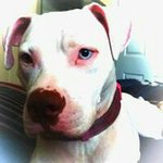 Mario Ticas - @ticas.mario - Instagram