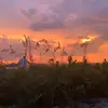 Mario Trevilla - @mariotrevilla - TikTok