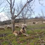 Mario Vaz - Facebook
