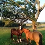 Mario Vaz - Facebook