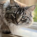 Vesper Merio - Facebook