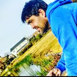 Mario Viola - @marioaviola - Instagram
