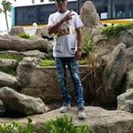 Mario Webb - @mariowebb420 - Instagram