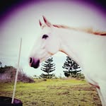 Bella Marie Whitlock - @bella_marie_whitlock - Instagram