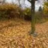 mariowigginsshh - @mariowigginsshh - TikTok