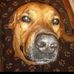 Mario Wilhelm - Facebook