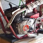Mario Wilhelm - @wilhelmm452 - Instagram